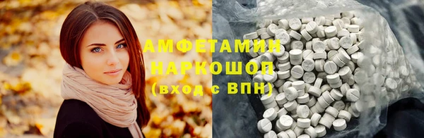 крисы Каменка