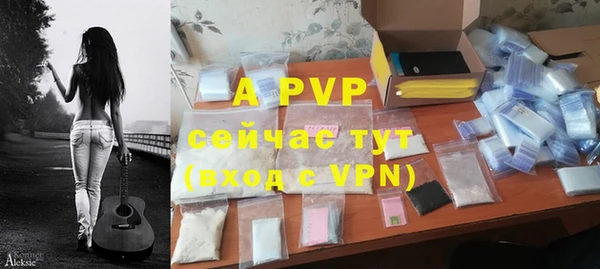первитин Бикин