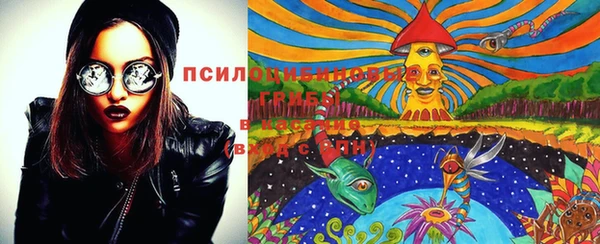 прущие грибы Касимов