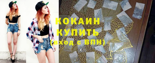 прущие грибы Касимов