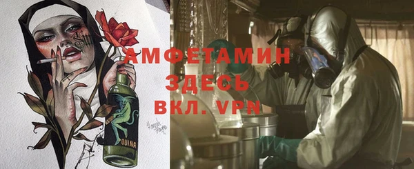 прущие грибы Касимов