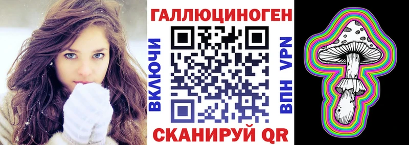 omg маркетплейс  где найти   Киселёвск  Псилоцибиновые грибы Psilocybine cubensis 